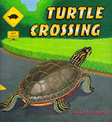 Turtle Crossing